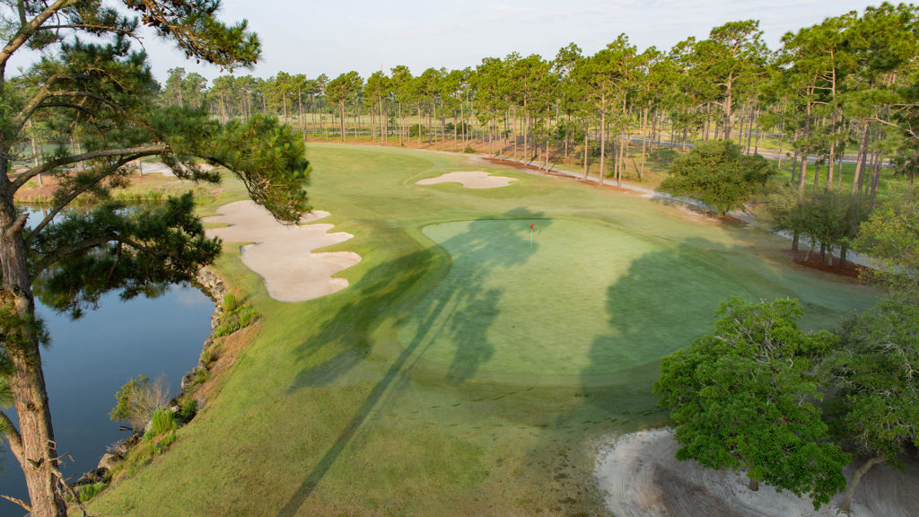 Tigers Eye - Hole 8-2