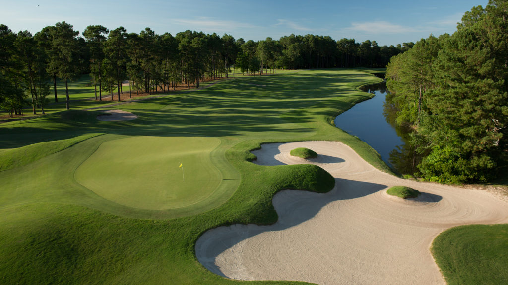 Wild Wing Avocet - Hole 18-4