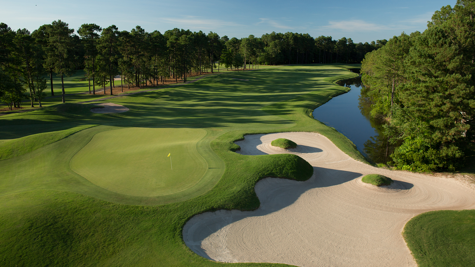 Wild Wing Avocet - Hole 18-4