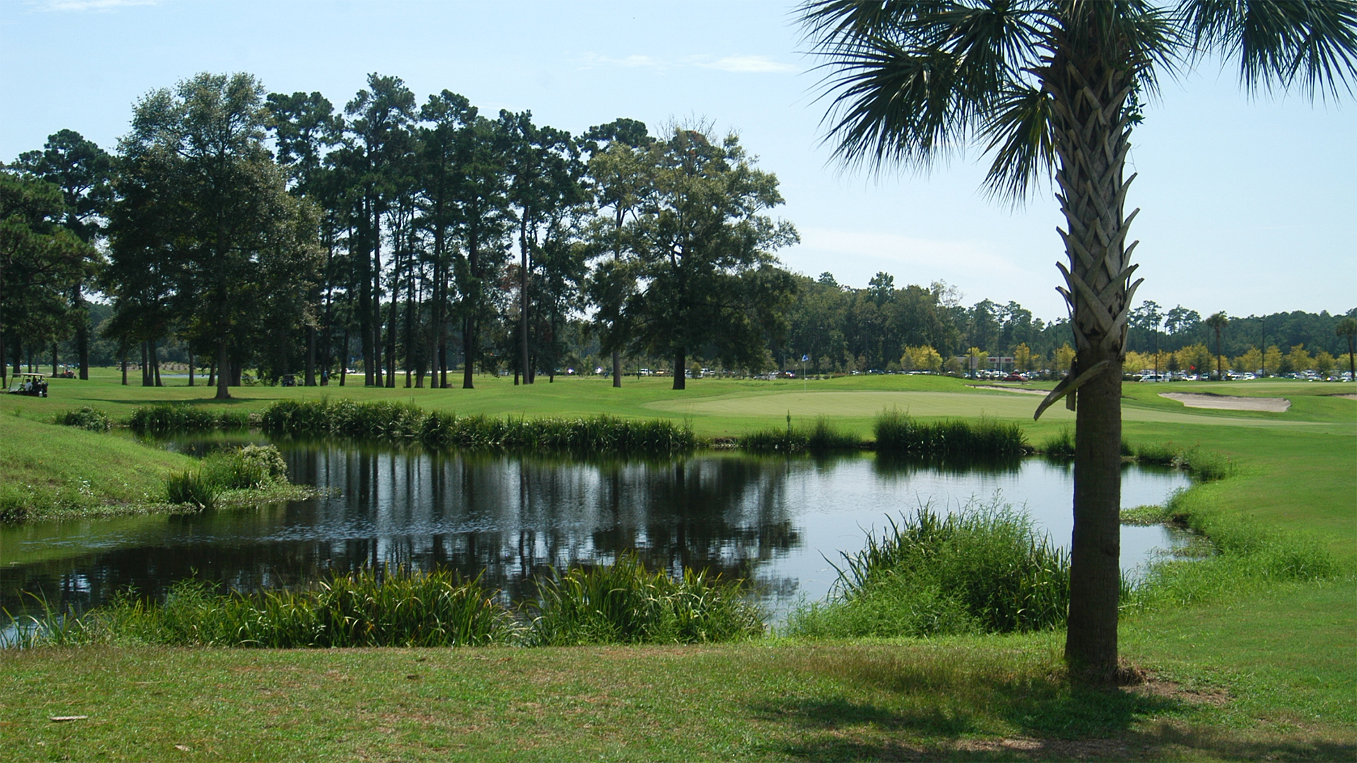 whispering pines